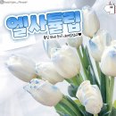 아이스퀸 - 목포시 용해지구로88번길 23 | 아이스퀸