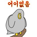 금당 우리집 오리 이미지