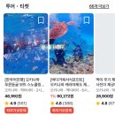 푸른카서비스 | 오키나와 푸른동굴 스노쿨링 준비물 한국업체 루리오키나와 스노클링 찐추천 후기