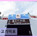 물고기 미포 네이버블로그