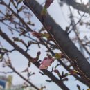 ........................................ 이미지