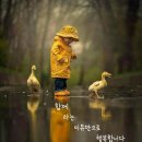 주식회사 우연