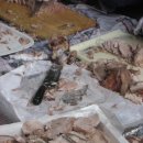 호진농장 이미지