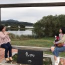 강아지정원 | 🐶 남양주 물의정원 반려견 동반 후기-강아지와 걷기 좋은 산책 코스