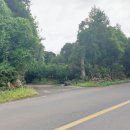 세화1리마을회관 이미지