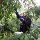 후레쉬팩토리 이미지