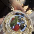 포포아일랜드 | 🌴호놀룰루랄라🌴 11월 하와이여행 Day. 4 아일랜드 빈티지커피 아사이볼/스투시 오픈런/돌 파인애플 농장...