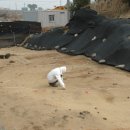 하모리-12 이미지