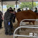 소번식경영아카데미 이미지