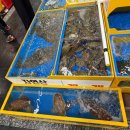 진로수산 - 광주시 경충대로1461번길 12-26 | 영종도 구읍뱃터 회포장 진로수산 도다리 내돈내산 포장 후기