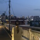 왈왈그루밍 이미지