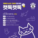 순천청년센터 문화공연장 네이버블로그