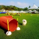 위크온 글램핑 이미지