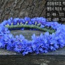 행정사 하문희사무소 이미지