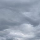 하단동1142 이미지