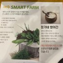 정가네밥상 제주스마트팜 <b>제주</b>시 맛집 한정식 보리굴비 <b>정가네</b><b>밥상</b> 내돈내산 솔직리뷰