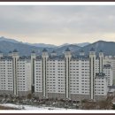 수목토 이미지