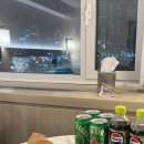 24년 털이 1_바쁘게 놀러다녔던 11월