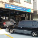 하이카동백점 이미지