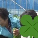 식이농장 이미지