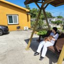 제주오름동물병원 이미지