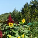 박달농장 이미지