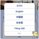 시그니처피자 | 성수피자 맛집 HDD피자 시그니처 트러플 감자 피자 후기 주말 웨이팅 핫플 맛집