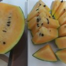 중앙2로43번길 이미지