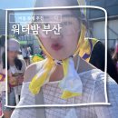 위드미 기장동부점 | 2026 워터밤 부산 티켓 출연진 예매방법 등 총정리 리얼후기