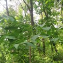 우량농장 이미지