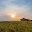 보리목장2 이미지