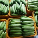 부부농장 이미지