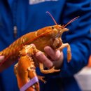 캐스코(주) 이미지