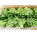 자연대로 이미지