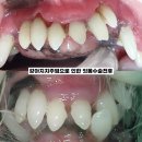 힐링힐스 동물 치과병원 이미지