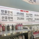 장어시대 이미지