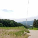 안동목장 이미지