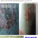 천연페인트 숲속향기로 벽지에페인트 벽면곰팡이 방지-천연항균페인트 이미지