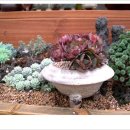 양진농장 이미지