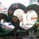 (주)소셜원 이미지