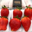 킹스베리 이미지