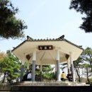 대청호오백리길 대청로하스길 이미지