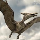 프테라노돈 이미지