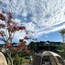 구렁농장 | [강화 캠핑장] 바다다 캠핑장 명당 사이트 F2 ?