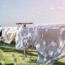 영원 세탁 이미지