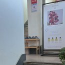 노산서18길 | 마산 피부관리ㅣ제시뷰티마산 에스테틱 웨딩 윤곽관리 리프팅 추천 내돈내산 후기