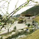 산고운펜션 Daum카페