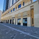 유림노르웨이숲세탁 이미지