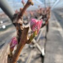 성미농장 이미지