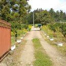 학수농장 이미지